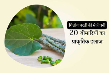 गिलोय: धरती की संजीवनी, 20 बीमारियों का प्राकृतिक इलाज