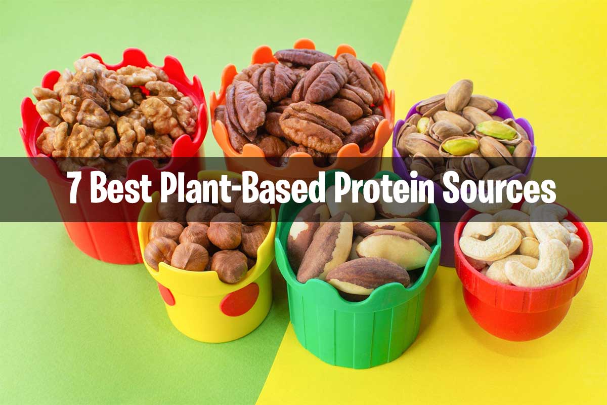 ariety of Plant-Based Protein Sources - Quinoa, Lentils, Chickpeas, Tofu, Tempeh, Edamame, and Seitan