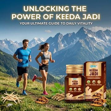 keeda-jadi-high-potency-formula-vitality-guide