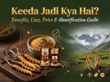 Keeda Jadi complete guide feature image showing wild Himalayan caterpillar fungus, herbal powder, and a health supplement bottle against a mountain landscape.