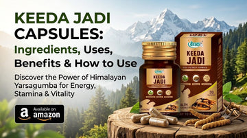 Vaidhak Keeda Jadi Capsules bottle and packaging box on a wooden tree slice with dried Keeda Jadi in front of Himalayan mountains.