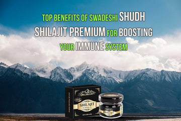 salajeet uses Shudh Shilajit Premium