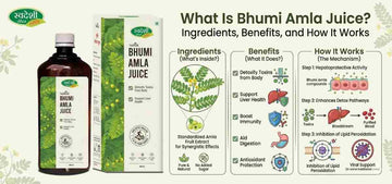 Bhumi Amla Juice ingredients and benefits guide