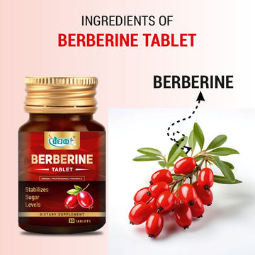 Swadeshi Ayurved Berberine Tablets – 30 Tablets