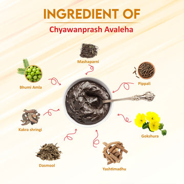 Swadeshi Ayurved Chyawanprash Avaleha – Ayurvedic Immunity Booster with Natural Herbs for Energy, Wellness & Respiratory Health