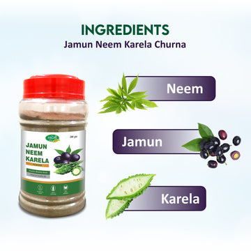 Jamun Neem Karela Churna for Diabetes 200g